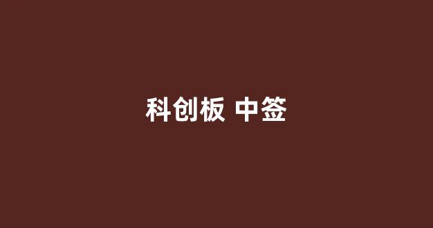 科创板 中签(科创板中签一般几个板)_https://www.brunchezvous.com_自由行_第1张